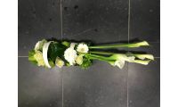 Rouwen A36